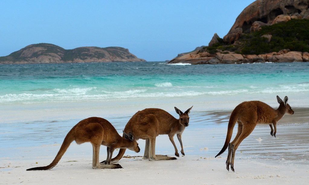Lucky Bay beach