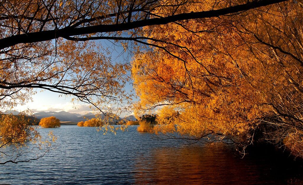 Lake Tekapo